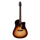 Seagull ENTOURAGE PRESYS II CW Acoustic (Automne Burst)