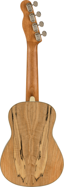 Fender ZUMA EXOTIC Concert Ukulele (Spalted Maple)