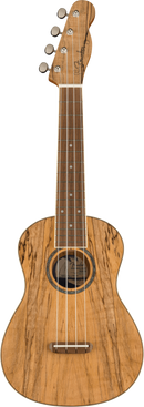 Fender ZUMA EXOTIC Concert Ukulele (Spalted Maple)