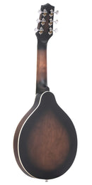Gold Tone A-6 A-Style Mando-Guitar (Tobacco Sunburst Satin)