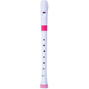 Nuvo N310RDPKB Enregistreur avec étui en transvinyle baroque (blanc/rose)