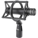 DPA Microphones ST2012 Compact Cardioid Condenser Microphone (Stereo Pair)