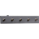 Darkglass DGEXMI E500 500W Amplifier Head and MIDI Footswitch