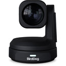 BirdDog MAX-B Max UHD 4K Conferencing And Production PTZ Camera (Black)
