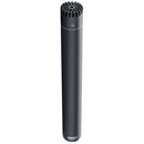 DPA Microphones 2006A Twin Diaphragm Omnidirectional Microphone