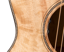 Breedlove ORCN01CEMYMY Oregon Concert CE Acoustic-Electric (Guitar Natural)