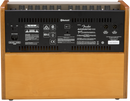 Fender ACOUSTIC 100 Acoustic Guitar Amplifier - 120V