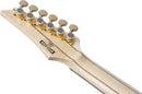 Ibanez PGM50BK Paul Gilbert Signature Electric Guitar (noir)