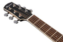 Ibanez AAM370M1CETPA Acoustic Guitar (Transparent Panda)