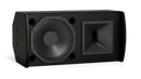 Bose AMU108-120 Compact High Performance Loudspeaker (Black)