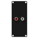 Caymon Casy132 / B 2 RCA à 2 broches Plaque d'entrée de borne