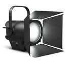 Cameo Pro CLF4D Professional Fresnel White Daylight - Includes Barndoor and Gel Frame