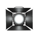 Cameo Pro CLF4D Professional Fresnel White Daylight - Includes Barndoor and Gel Frame