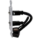Covid D1219P-CA HDMI Pigtail, USB AA Pigtail Wall Plate (Clear Anodized)