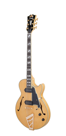 D'Angelico Dadbsshngs Guitare électrique à corps creux (miel en satin)