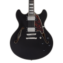 D'Angelico DAPDCBLF2NS Guitare électrique semi-creuse (Flake noir)