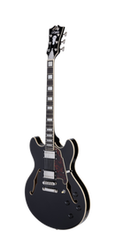 D'Angelico DAPDCBLF2NS Guitare électrique semi-creuse (Flake noir)