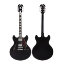 D'Angelico DAPDCBLF2NS Guitare électrique semi-creuse (Flake noir)
