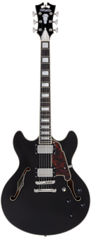 D'Angelico DAPDCBLF2NS Guitare électrique semi-creuse (Flake noir)