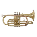 Grassi GR SC240 Cornet in Bb School Series (Yellow Brass Lacquered)