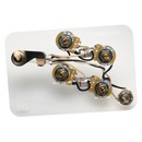 DiMarzio GW2104 SG® Wiring Harness