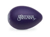 Latin Percussion LPR003-GP Rhythmix Santana Plastic Egg Shakers (Grape) - Pair