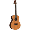 Breedlove PRCP01ERCBR LTD Premier Companion E LTD Brazilian Rosewood Acoustic Electric Guitar (Natural)