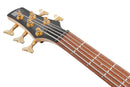 Ibanez SR305EDXBZM SR Standard 5 cordes basse électrique (Black Ice Frozen Matte)