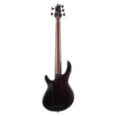 Cort B5-ELEMENT-OPN 5 String Electric Bass Guitar (Open Pores Natural)