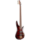 Ibanez SR305EDXWZM 5 String Electric Bass Guitars (Wine Red Frozen Matte)