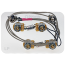 DiMarzio GW2101 Les Paul Wiring Harness With Toggle Switch