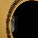 G / D. Baggs Hifi duo High-Fidelity Ricker avec le système de mélange de microphones