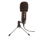 Musique 8 M8-120 Microphone du condenseur USB