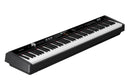 NUX NPK-20 Arranger Keyboard (Black)