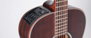 Takamine GY21E-SM New Yorker Parlor Acoustic-Electric Guitar (Satin Molasses)