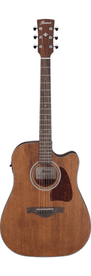 Guitare acoustique Ibanez AAM54CE (Open Pore Natural)