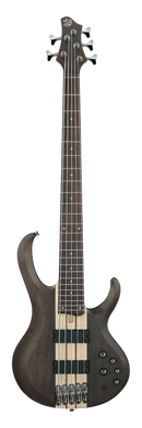 Ibanez BTB605TGF 5 String Electric Bass Guitars (Transparent Gray Flat)
