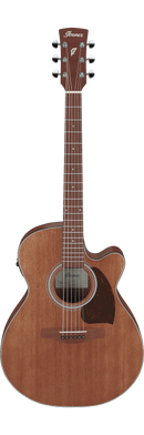 Guitare acoustique Ibanez PC54CE (Open Pore Natural)