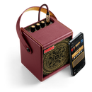 Positive Grid SPARK MINI VAI Special Edition 10-Watt Portable Smart Guitar Amp & Compact Cable