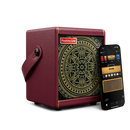 Positive Grid SPARK MINI VAI Special Edition 10-Watt Portable Smart Guitar Amp & Compact Cable