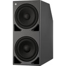 Neumann KH 870 Dual Caisson de Basses de Studio Actif 10"