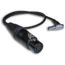 Câble adaptateur Beachtek BT-LEMO XLR5F vers LEMO à angle droit (17,7")