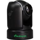 BirdDog BDP4K P4K Caméra PTZ 4K Full NDI avec capteur Sony 1" (Noir)