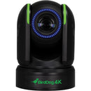 BirdDog BDP4K P4K Caméra PTZ 4K Full NDI avec capteur Sony 1" (Noir)