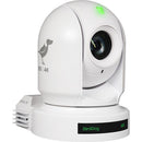 BirdDog BDP400W EYES P400 4K 10-Bit Full NDI PTZ Camera with Sony Sensor (White)