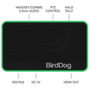 Décodeur NDI complet BirdDog BDFLEXDEC Flex 4K Out