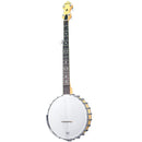 Banjo à 5 cordes doré MM-150 Maple Mountain à dos ouvert