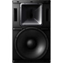 Pioneer Pro Audio XY-152 Haut-parleur large bande bidirectionnel - 15" (Noir)