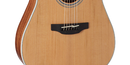Takamine GD20CE-NS Dreadnought Cutaway Acoustic Electric Guitar (Natural Satin)
