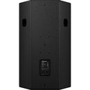 Pioneer Pro Audio XY-152 Haut-parleur large bande bidirectionnel - 15" (Noir)